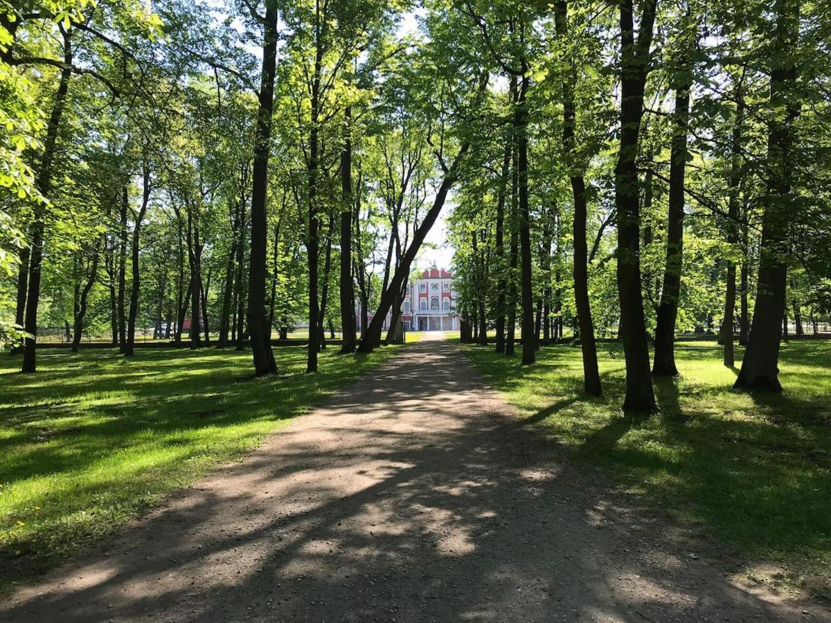 1 Bedroom Apartment Near Kadriorg Swan Pond Таллин Экстерьер фото